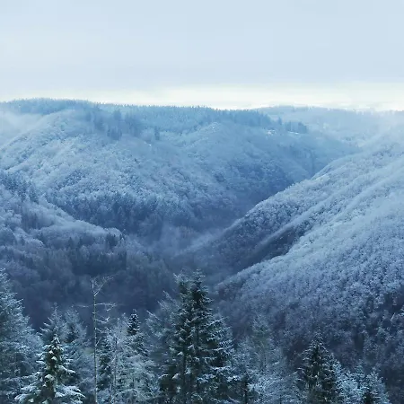בית נופש Bb19 Eifel-ferienhaus Am Moseltal Mit Saunahaus