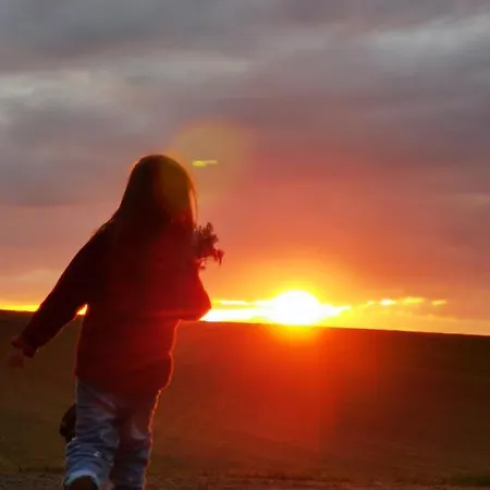Bb19 Eifel-ferienhaus Am Moseltal Mit Saunahaus