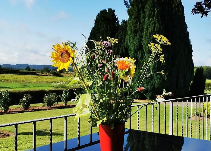 Bb19 Eifel-ferienhaus Am Moseltal Mit Saunahaus * Beuren (Cochem-Zell)